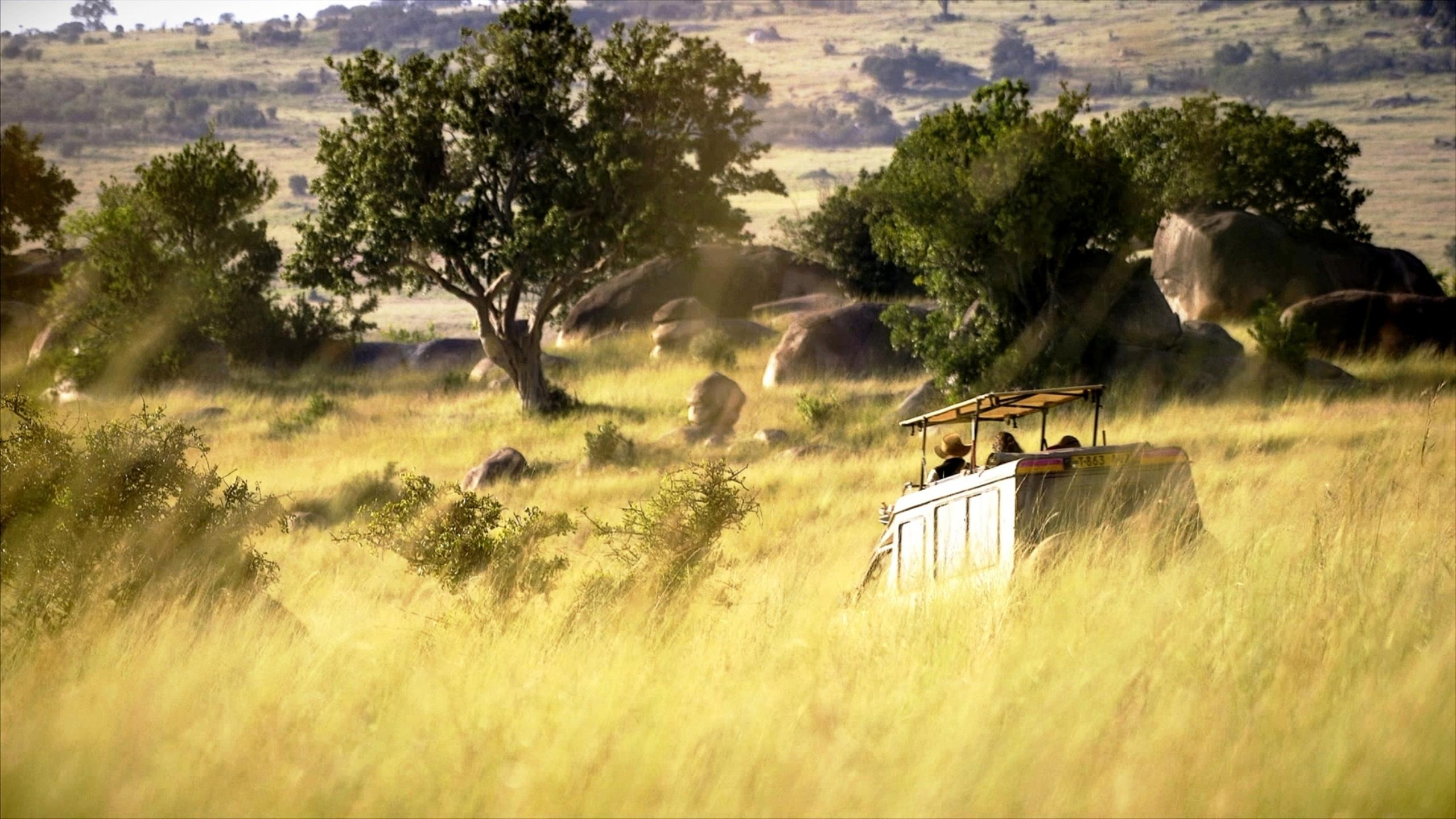 Intimate Private Camp Kogatende thumbnail 4